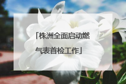 株洲全面启动燃气表首检工作