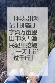 桂东出海记丨即墨丁字湾万亩蚬田丰收！渔民泥里挖蚬，一天上岸过千斤