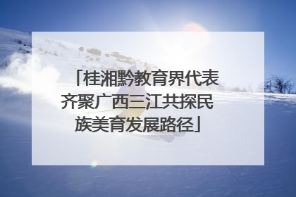 桂湘黔教育界代表齐聚广西三江共探民族美育发展路径
