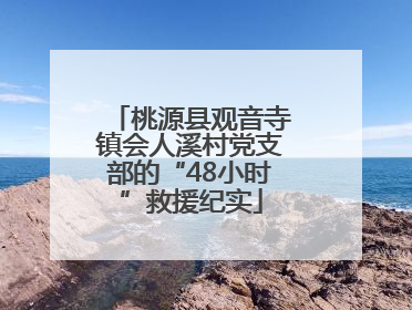 桃源县观音寺镇会人溪村党支部的“48小时”救援纪实