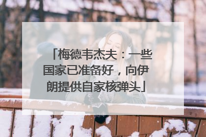 梅德韦杰夫：一些国家已准备好，向伊朗提供自家核弹头