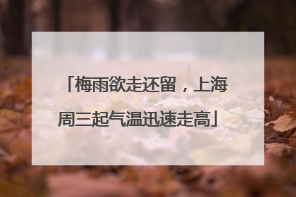 梅雨欲走还留，上海周三起气温迅速走高