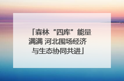 森林“四库”能量满满 河北围场经济与生态协同共进