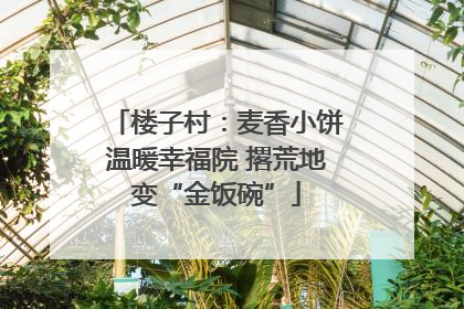 楼子村：麦香小饼温暖幸福院 撂荒地变“金饭碗”