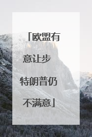 欧盟有意让步 特朗普仍不满意