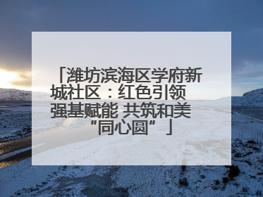 潍坊滨海区学府新城社区：红色引领 强基赋能 共筑和美“同心圆”