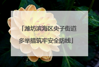 潍坊滨海区央子街道多举措筑牢安全防线