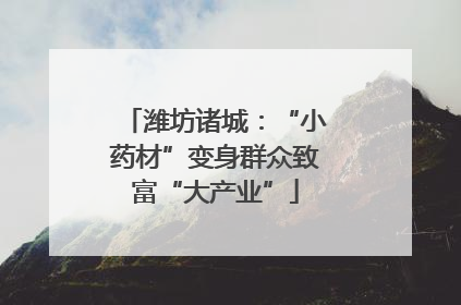 潍坊诸城：“小药材”变身群众致富“大产业”