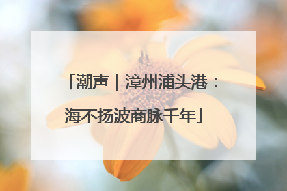 潮声｜漳州浦头港：海不扬波商脉千年