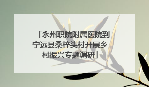 永州职院附属医院到宁远县桑梓头村开展乡村振兴专题调研