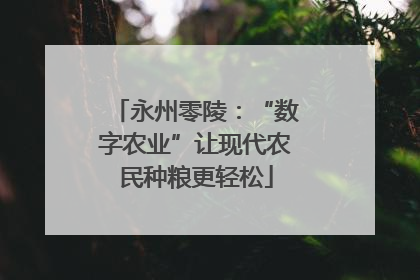 永州零陵：“数字农业”让现代农民种粮更轻松