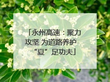 永州高速：聚力攻坚 为道路养护“夏”足功夫