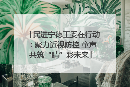 民进宁德工委在行动：聚力近视防控 童声共筑“睛”彩未来