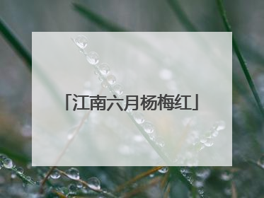 江南六月杨梅红