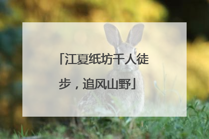 江夏纸坊千人徒步，追风山野