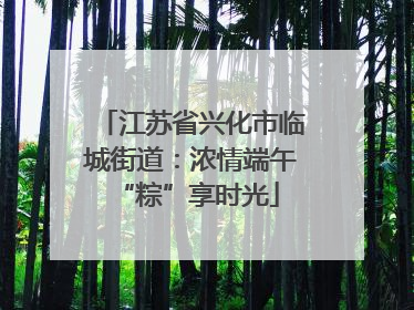 江苏省兴化市临城街道：浓情端午 “粽”享时光