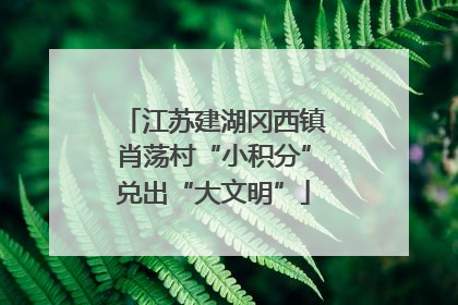 江苏建湖冈西镇肖荡村“小积分”兑出“大文明”