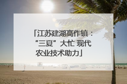 江苏建湖高作镇：“三夏”大忙 现代农业技术助力