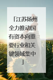 江苏扬州全力推动国有资本向重要行业和关键领域集中