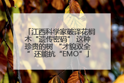 江西科学家破译花榈木“遗传密码” 这种珍贵的树 “才貌双全”还能抗“EMO”