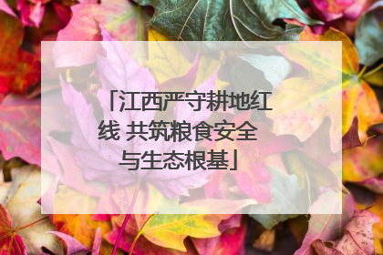 江西严守耕地红线 共筑粮食安全与生态根基