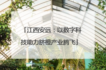 江西安远：以数字科技助力脐橙产业腾飞