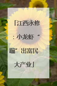 江西永修：小龙虾“蹦”出富民大产业