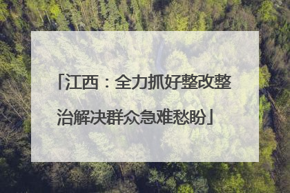 江西：全力抓好整改整治解决群众急难愁盼