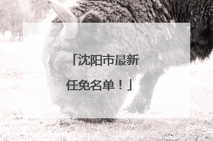 沈阳市最新任免名单！