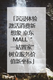沉浸体验激活消费新想象 京东MALL“一站置家”树立服务价值新坐标