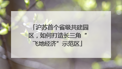 沪苏首个省级共建园区，如何打造长三角“飞地经济”示范区