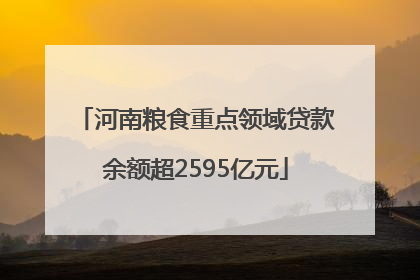 河南粮食重点领域贷款余额超2595亿元