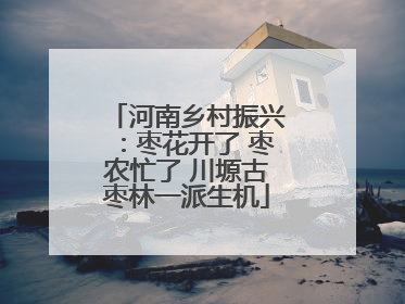 河南乡村振兴：枣花开了 枣农忙了 川塬古枣林一派生机