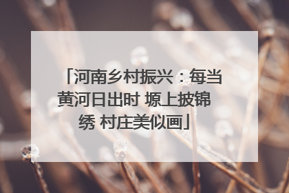 河南乡村振兴：每当黄河日出时 塬上披锦绣 村庄美似画