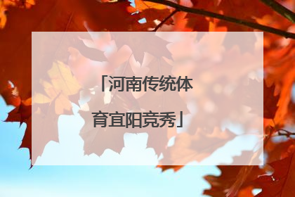 河南传统体育宜阳竞秀