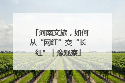 河南文旅，如何从“网红”变“长红”｜豫观察