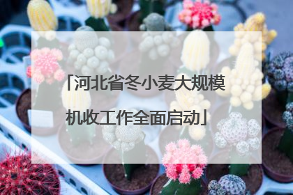 河北省冬小麦大规模机收工作全面启动