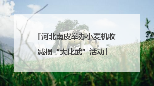 河北南皮举办小麦机收减损“大比武”活动