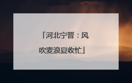 河北宁晋：风吹麦浪夏收忙