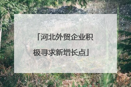 河北外贸企业积极寻求新增长点