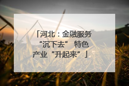 河北：金融服务“沉下去” 特色产业“升起来”