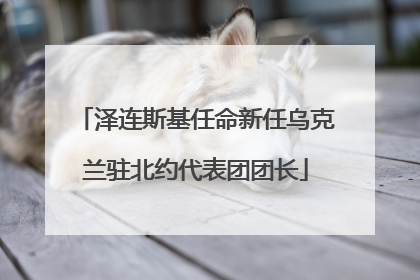 泽连斯基任命新任乌克兰驻北约代表团团长