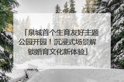 泉城首个生育友好主题公园开园！沉浸式场景解锁婚育文化新体验