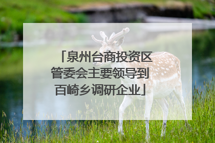 泉州台商投资区管委会主要领导到百崎乡调研企业