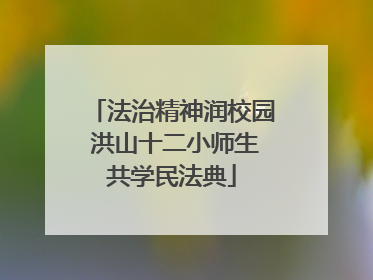 法治精神润校园 洪山十二小师生共学民法典