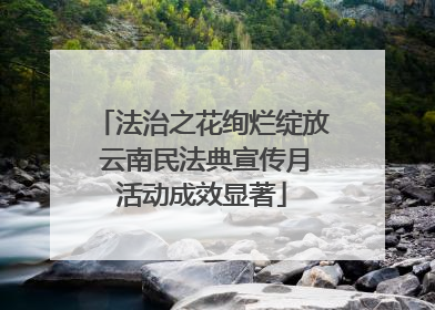 法治之花绚烂绽放 云南民法典宣传月活动成效显著