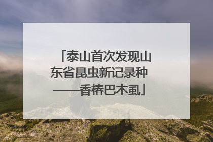 泰山首次发现山东省昆虫新记录种——香椿巴木虱