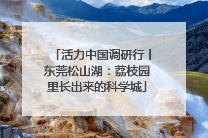 活力中国调研行丨东莞松山湖：荔枝园里长出来的科学城