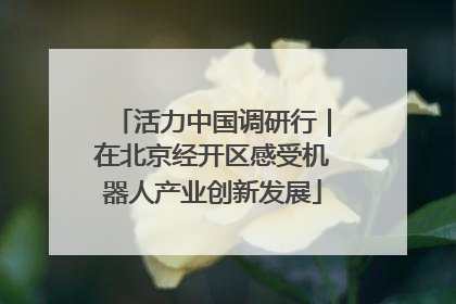 活力中国调研行｜在北京经开区感受机器人产业创新发展