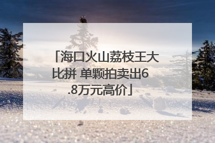 海口火山荔枝王大比拼 单颗拍卖出6.8万元高价